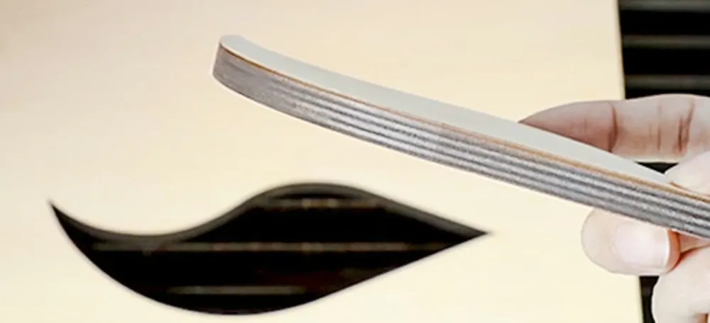 Falcon2 Pro