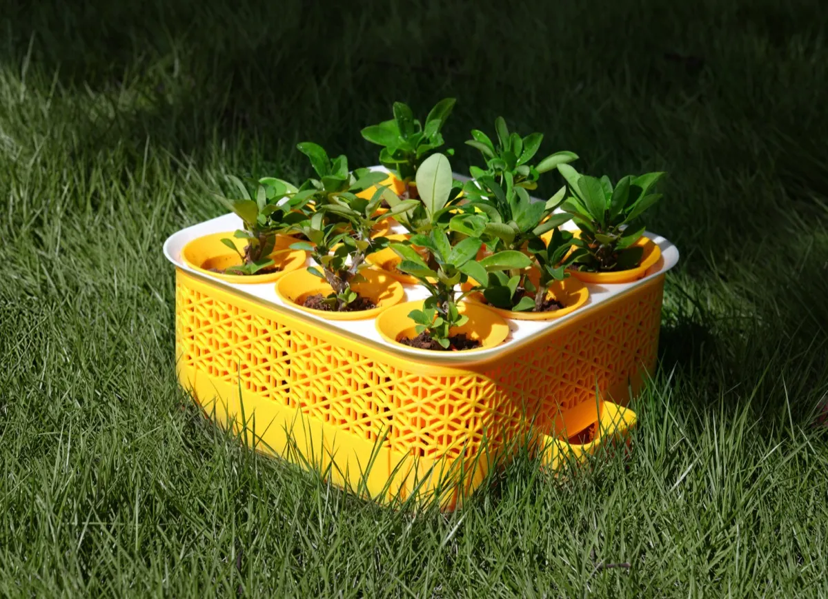 Seed starter in PA6-GF